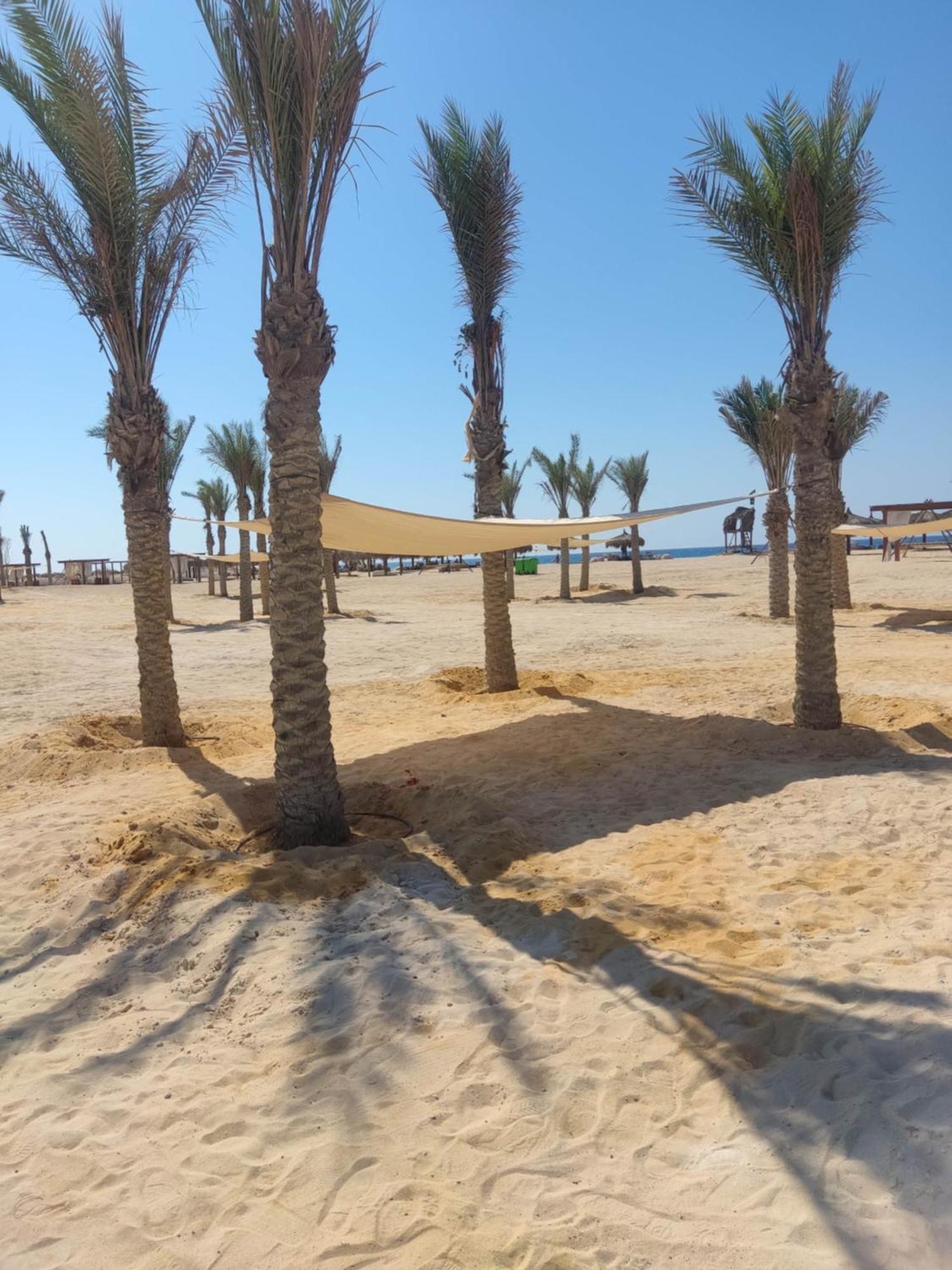 D-Bay North Coast Hotel Zawiyat 'abd al Mun'im Exterior photo